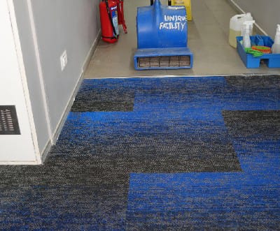 Drying, Finishing & Carpet Care